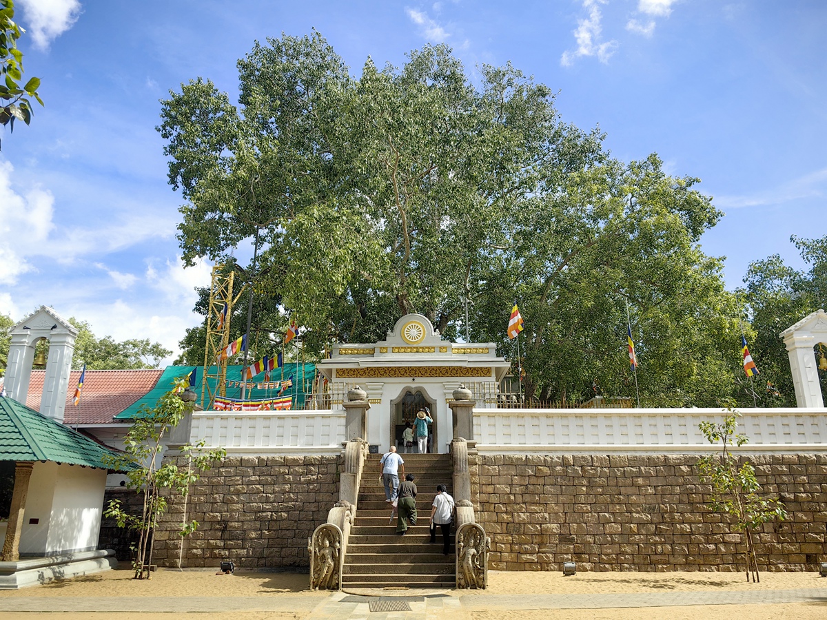 摩訶寺Mahavihara